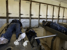 Bir camide 381 ceset var iddiası