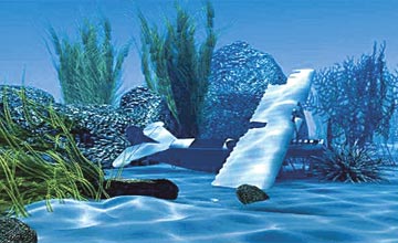 Denizin dibinde Atatürk tartışması