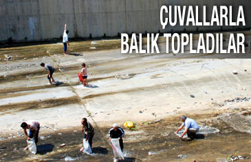Çuvallarla balık topladılar