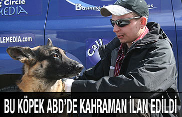 Sahibini kurtaran köpek kahraman ilan edildi
