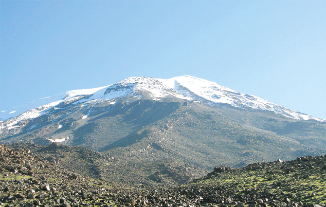 Nuhun Gemisi skandalı