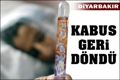 Öldüren parazit 20 yıl sonra yine ortaya çıktı
