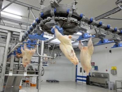 Bir ilçe yeniden doğuyor