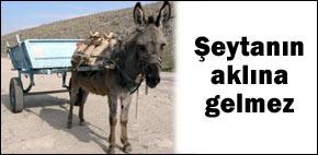 Filistin'den İsrail'e 'canlı eşek' bombası