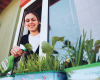 'Pencere önü bostan' dönemi