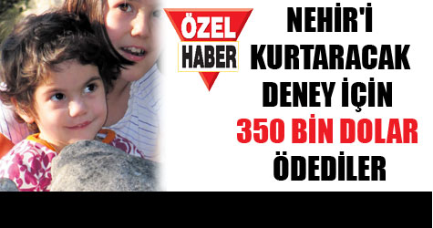 Kobaylık için servet ödedi