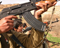 Terör örgütünün Türkiye'ye bir zararı daha