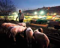 2013 Kurban Bayramı Namazı Saatleri