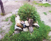 İskilipli Atıf Hoca'ya yapılan 84 yıllık ayıba İTO son veriyor