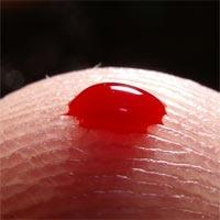 Kan grubu çılgınlığı