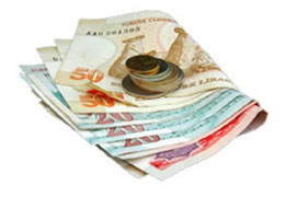 Teröre finansal destek verenin mal varlığı donacak