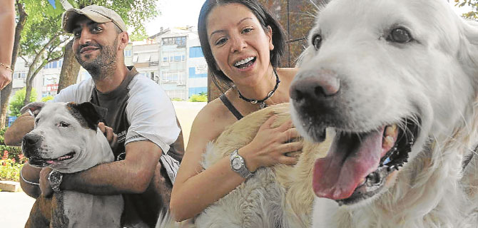 Köpeklerimizi vermeyeceğiz