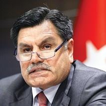 İnce ayarlı referandum