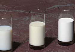 Süt tüketiminde çok gerideyiz