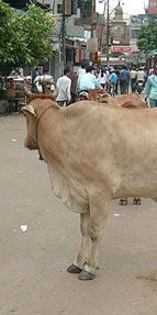 Turistler inançlarından daha önemli