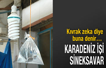 Karadeniz zekası sineği bitirdi