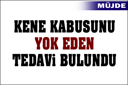 Kene kabusuna son veren tedavi