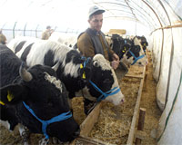 Diyanet: Kurban sıkıntısı yok