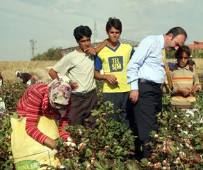916 öğrenciyi tarlalardan topladılar
