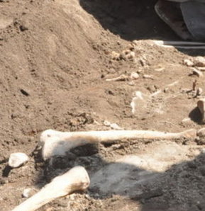 İnsan kemikleri bulundu