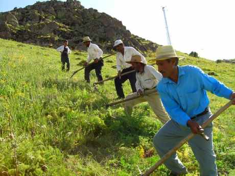 "Reçeteli tarım ilacı satışında yürütmeyi durdurma kararı verildi"