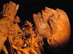 Kanser insan yapısı bir hastalık mı?