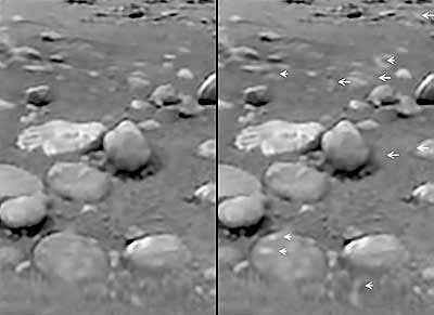 Dünya dışı yaşamın ilk fotoğrafı mı?