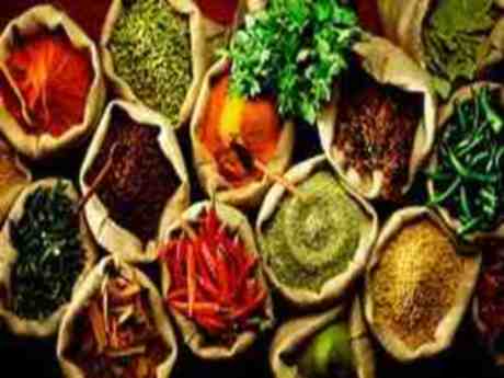 Belgesellerde izlediği her meyveyi bahçesinde yetiştiriyor