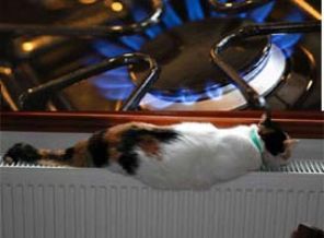 Doğalgaz fiyatı yarıya indi ama...