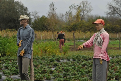 Mağaza mankenleri karga kovalıyor!