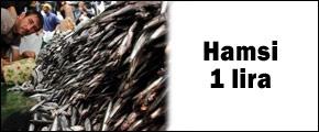 Ucuz hamsi kapış kapış