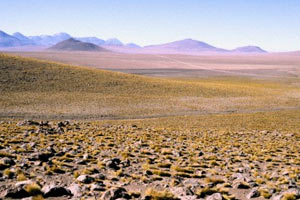 Mayınlı araziler petrol zengini