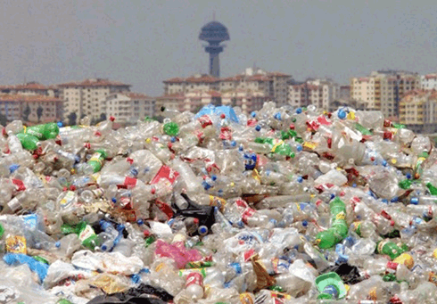 Mamak çöplüğünde yetişen üzümü, domatesi yer misiniz?