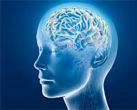 'Süper beyin'ler Türkiye'ye dönüyor