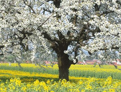 Havadan güzel haber !