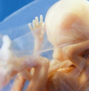 Tapınakta 348 cenin!