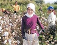 Öğrenciler okula değil, çapaya götürülüyor