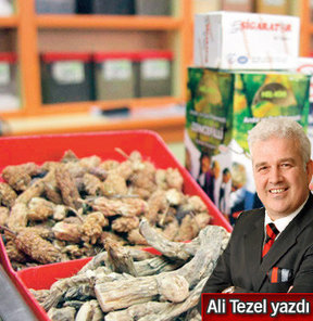 Ot-çöp ilaçları neden artıyor biliyor musunuz?