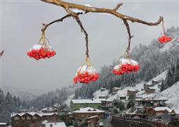 Bu kış soğuk geçecek