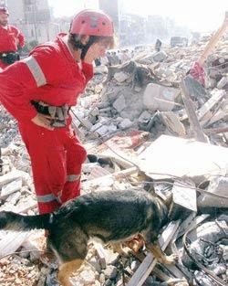 Afet anında herkes 'vali'nin askeri olacak