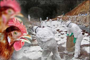 Kuş giribi geri mi dönüyor? 1 kişi öldü