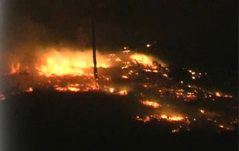 Bursa'daki yangın korkuttu