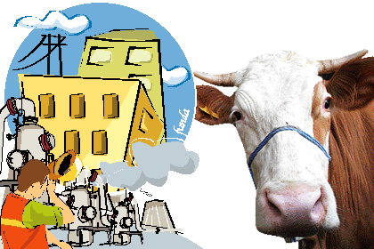 Vatandaş hayaline kavuşmak için icra ihalelerini kovalıyor