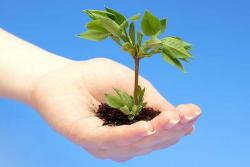 Orman ve Su İşleri Bakanlığı Devlet Su İşleri Genel Müdürlüğü Unvan Değişikliği Sınavı Duyurusu