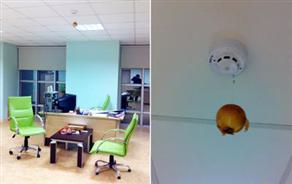 Tavana asılan soğanla gripten korunma