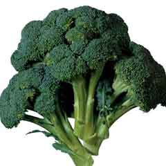 İneklerin en sevdiği ot her hastalığa iyi geliyor