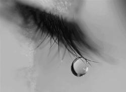 Eğitimde Vahim Tablo:Gençler Ne Oluyor Sizlere