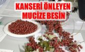 Kanseri önleyen mucize yemiş
