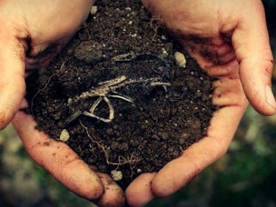 03.12.2011 Tarihli Toprak Mahsulleri Ofisi Görevde Yükselme Sınavı Duyurusu