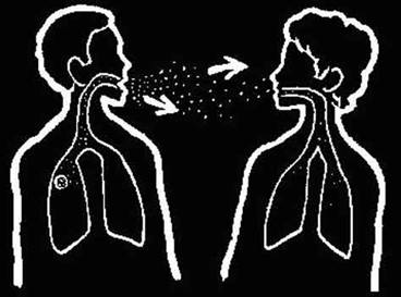 Verem en çok İstanbulda görülüyor